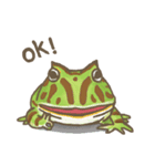 PACMAN FROG ZAZA (HORNED FROG)（個別スタンプ：10）