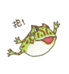 PACMAN FROG ZAZA (HORNED FROG)（個別スタンプ：12）