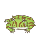 PACMAN FROG ZAZA (HORNED FROG)（個別スタンプ：14）