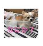 しあくん2（個別スタンプ：8）