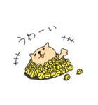 ねこテニス（個別スタンプ：11）