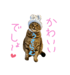 Moooooo（個別スタンプ：4）