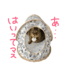 Moooooo（個別スタンプ：11）
