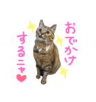 Moooooo（個別スタンプ：16）