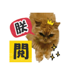Nanako's Life（個別スタンプ：4）