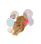 Nanako's Life（個別スタンプ：5）