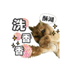 Nanako's Life（個別スタンプ：6）