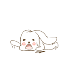 Cute Long Ears Bunny（個別スタンプ：24）