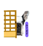 フレンチブルドックのこつぶ。（個別スタンプ：8）