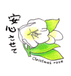 気持ちを伝える花言葉スタンプ（個別スタンプ：1）