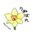 気持ちを伝える花言葉スタンプ（個別スタンプ：7）