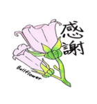気持ちを伝える花言葉スタンプ（個別スタンプ：10）