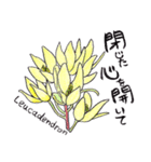 気持ちを伝える花言葉スタンプ（個別スタンプ：15）