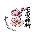 気持ちを伝える花言葉スタンプ（個別スタンプ：30）