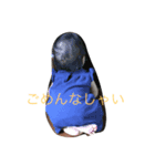 momo@@@（個別スタンプ：4）