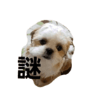 meron 0905（個別スタンプ：5）