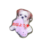 meron 0905（個別スタンプ：7）