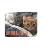 まるちゃん＆ぽるぽる（個別スタンプ：3）