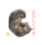 まるちゃん＆ぽるぽる（個別スタンプ：4）