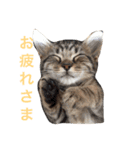 まるちゃん＆ぽるぽる（個別スタンプ：10）
