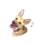雑種犬ミックスきなこ（個別スタンプ：3）