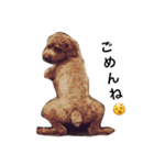 nameko  kuromame2（個別スタンプ：1）