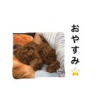 nameko  kuromame2（個別スタンプ：2）