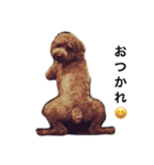 nameko  kuromame2（個別スタンプ：7）