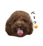 nameko  kuromame2（個別スタンプ：12）