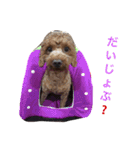 nameko  kuromame2（個別スタンプ：17）