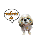 MahZa（個別スタンプ：3）