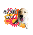 GC-Maataywadaa（個別スタンプ：1）