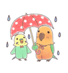 ぷる店長の小鳥ベーカリー（個別スタンプ：30）