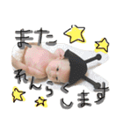 ふーちゃん☺︎かんちゃんの仲良しスタンプ（個別スタンプ：34）