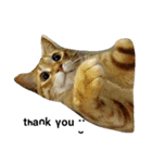 茶トラ 猫のムック（個別スタンプ：1）