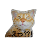 茶トラ 猫のムック（個別スタンプ：4）