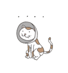 変でかわいいあにまるず（個別スタンプ：1）