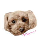 可愛いのんちゃんの挨拶（個別スタンプ：9）