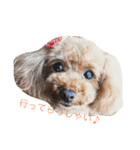 可愛いのんちゃんの挨拶（個別スタンプ：10）