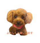 可愛いのんちゃんの挨拶（個別スタンプ：11）