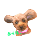 可愛いのんちゃんの挨拶（個別スタンプ：15）