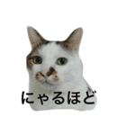 うめくんスタンプ（個別スタンプ：3）