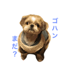ポン様日和1（個別スタンプ：4）
