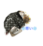 ポン様日和1（個別スタンプ：14）