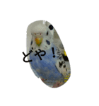 dairy birds（個別スタンプ：3）