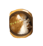 チュースケとファーファ（個別スタンプ：1）