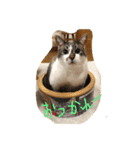 チュースケとファーファ（個別スタンプ：8）