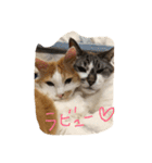 チュースケとファーファ（個別スタンプ：15）