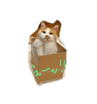 チュースケとファーファ（個別スタンプ：16）