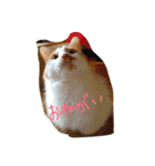 チュースケとファーファ（個別スタンプ：18）